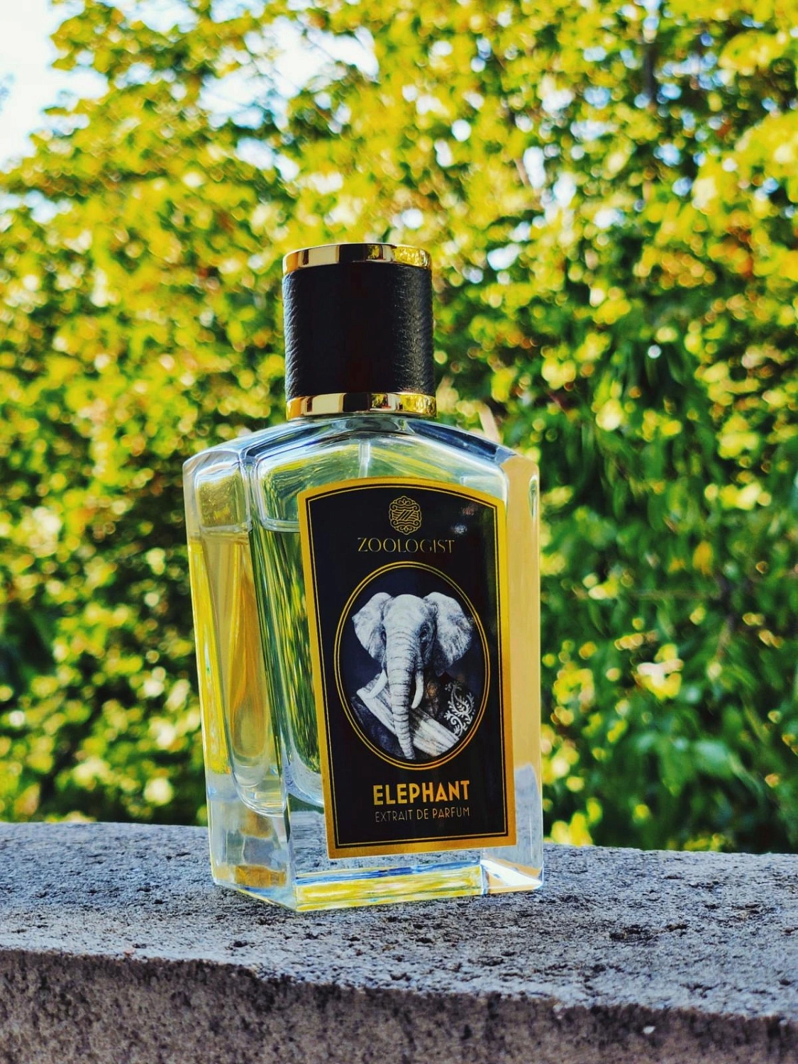 Zoologist Perfumes Elephant