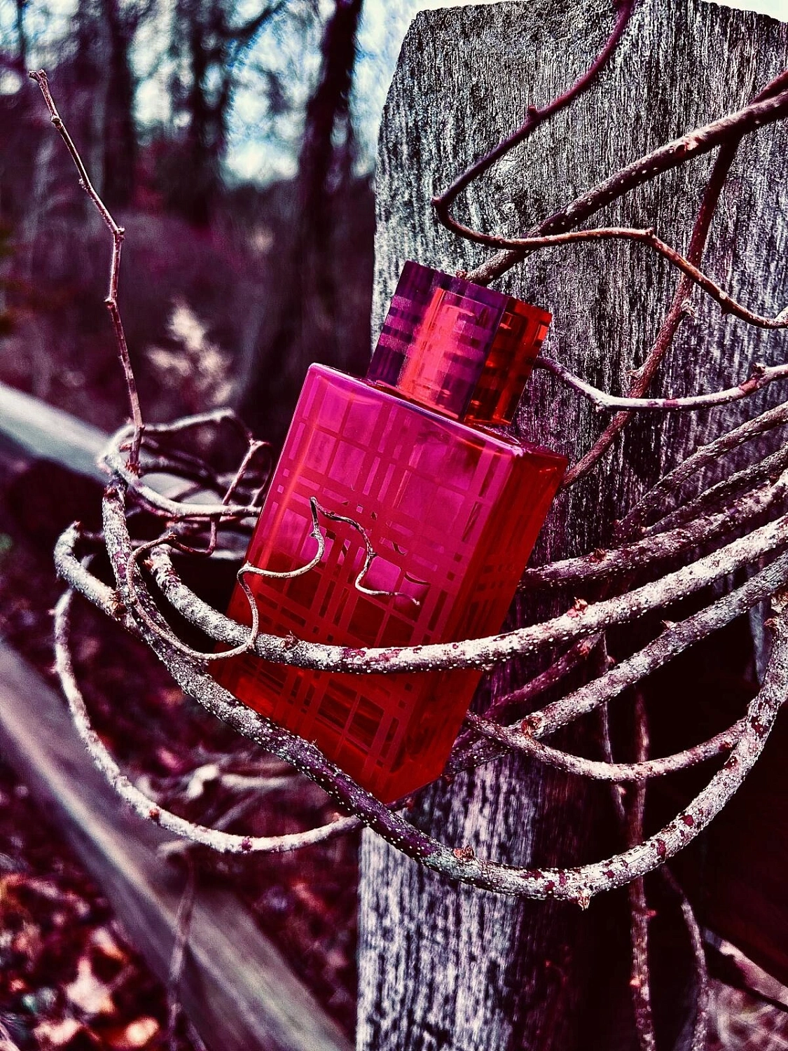 Burberry Brit Red