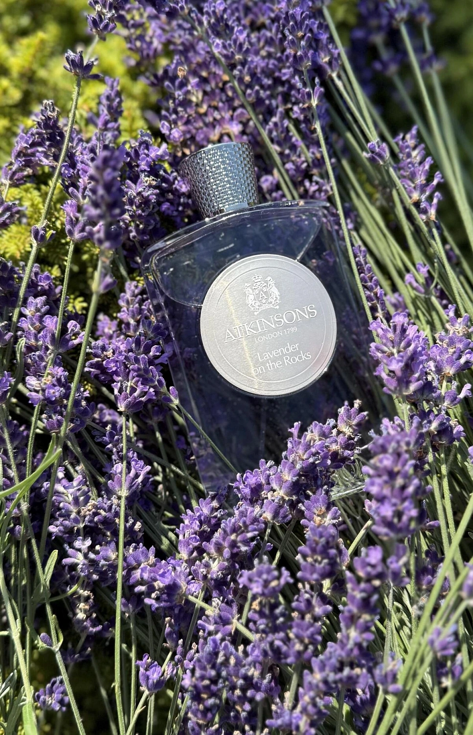 Atkinsons Lavender on the Rocks