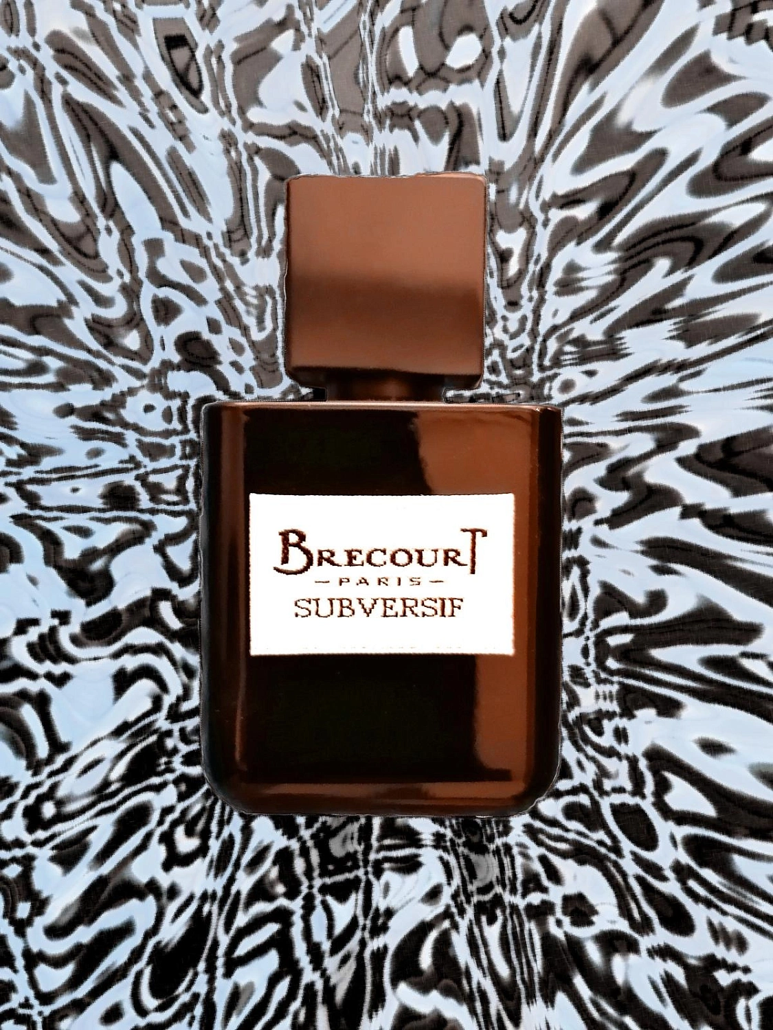 Brecourt Subversif