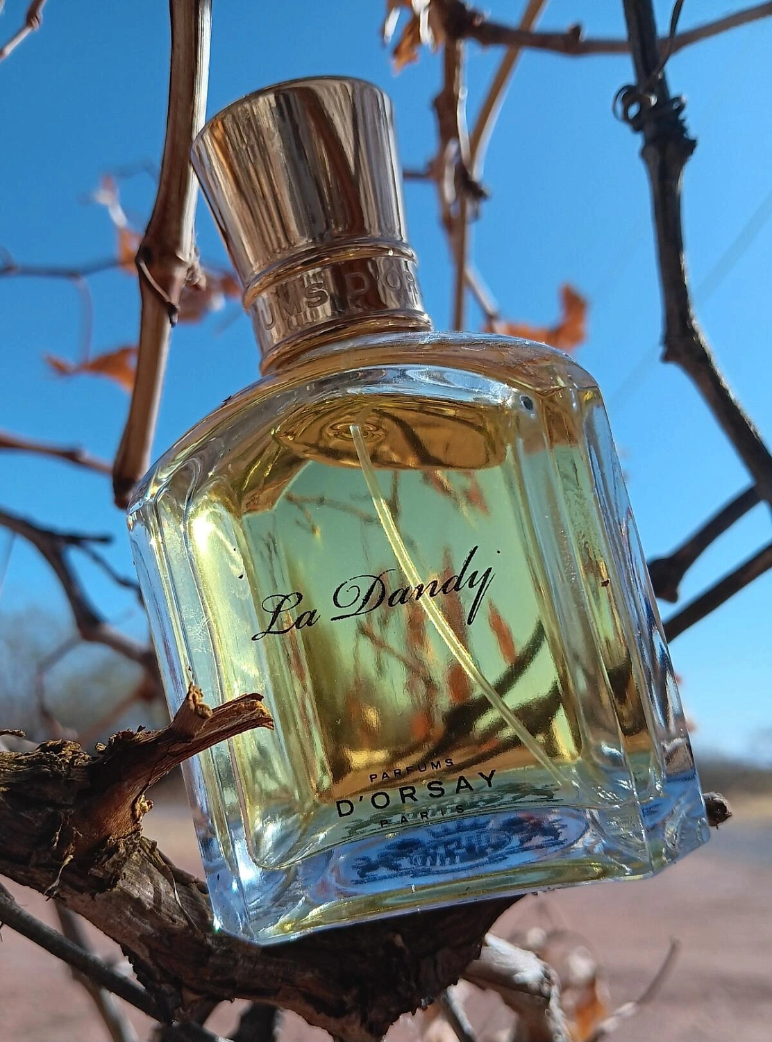 D'Orsay Femme la Dandy