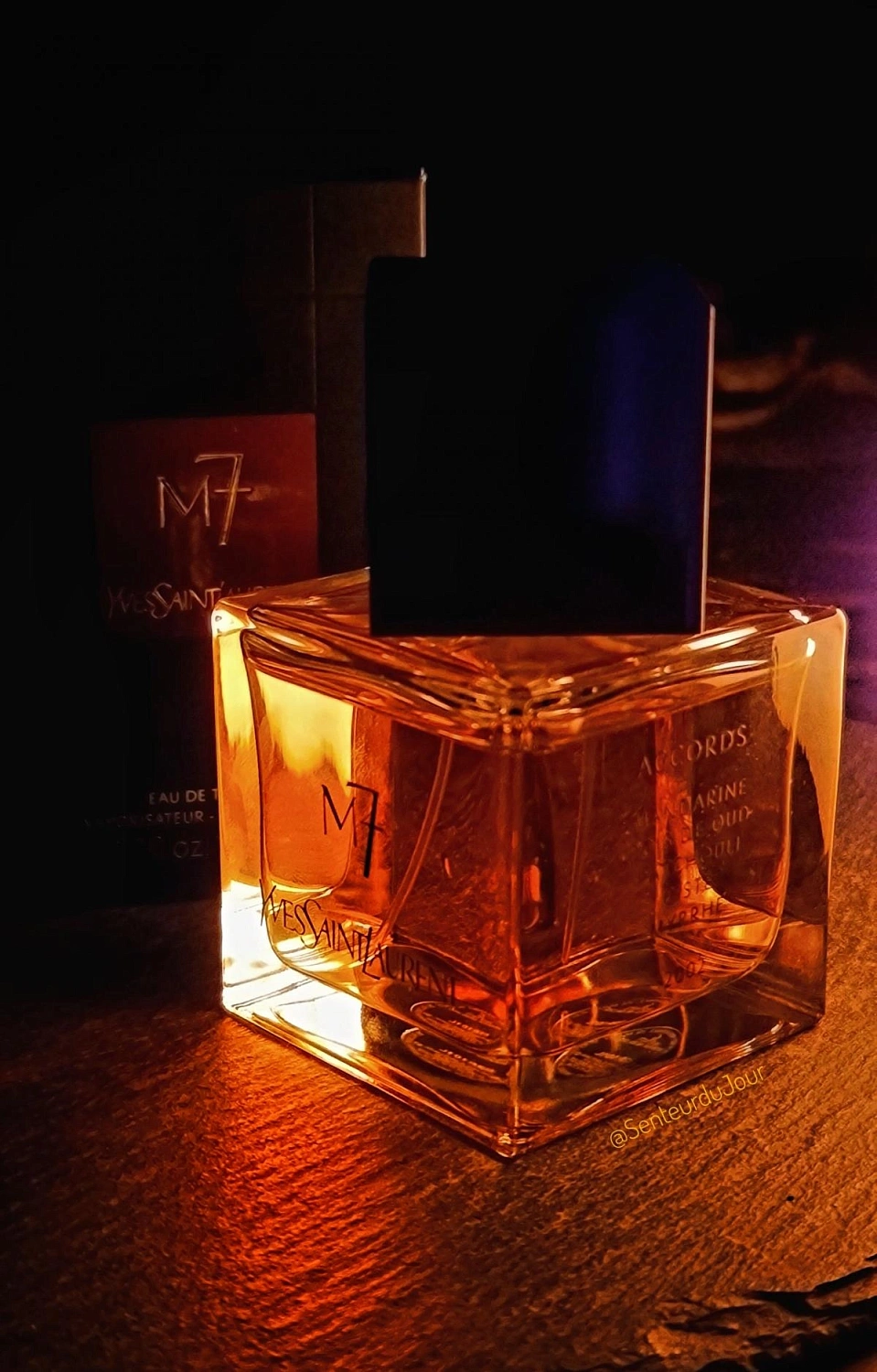 Yves Saint Laurent La Collection M7 Oud Absolu