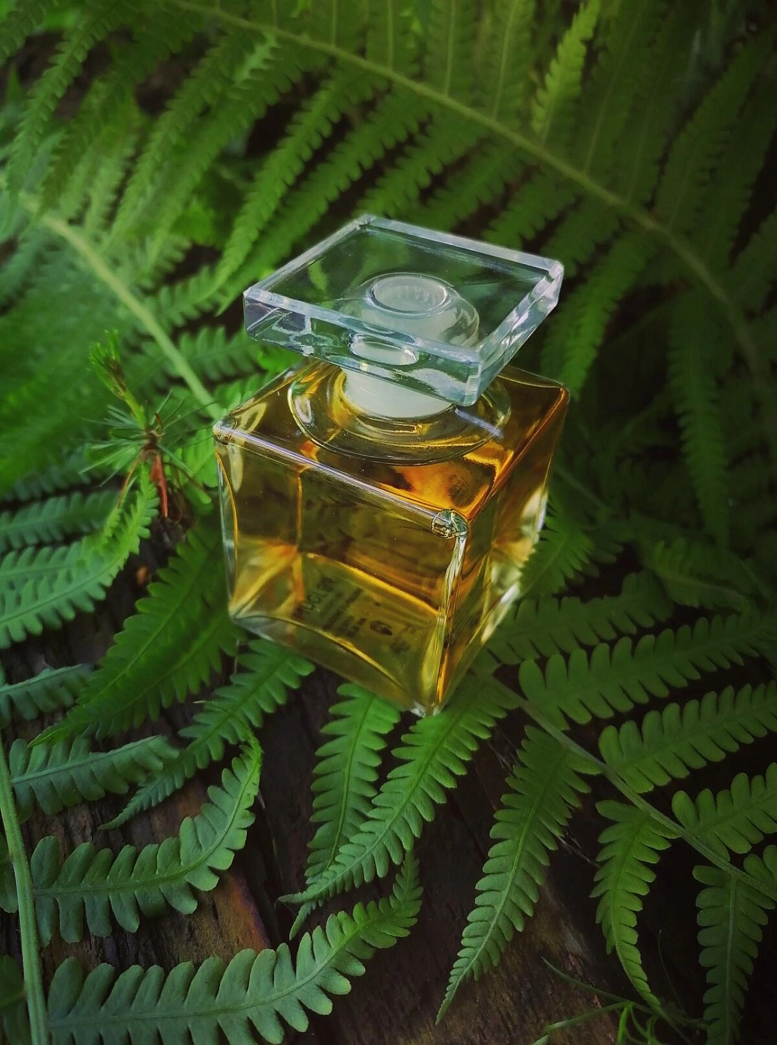 Mugler Fougere Furieuse