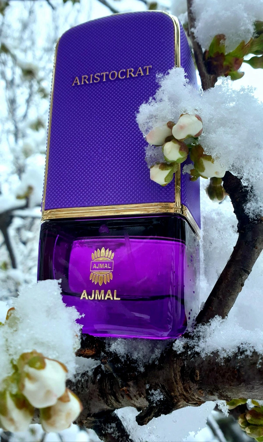 Ajmal Aristocrat for Her