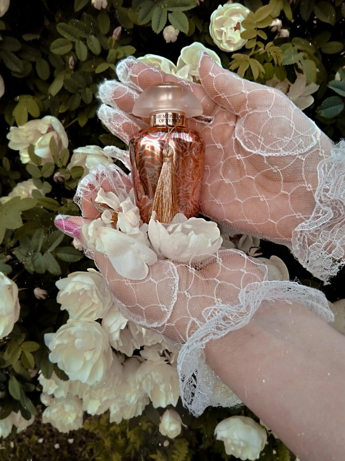 The Merchant of Venice Rosa Moceniga