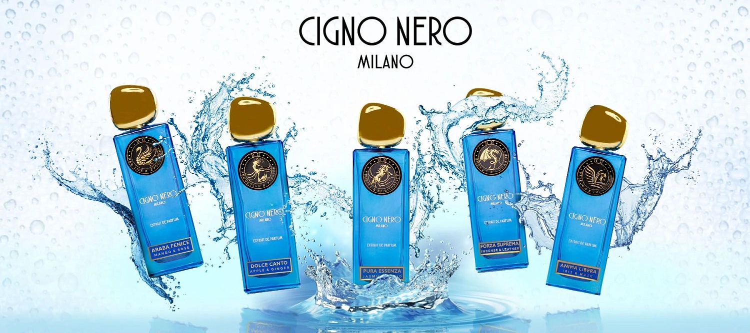 Cigno Nero Araba Fenice