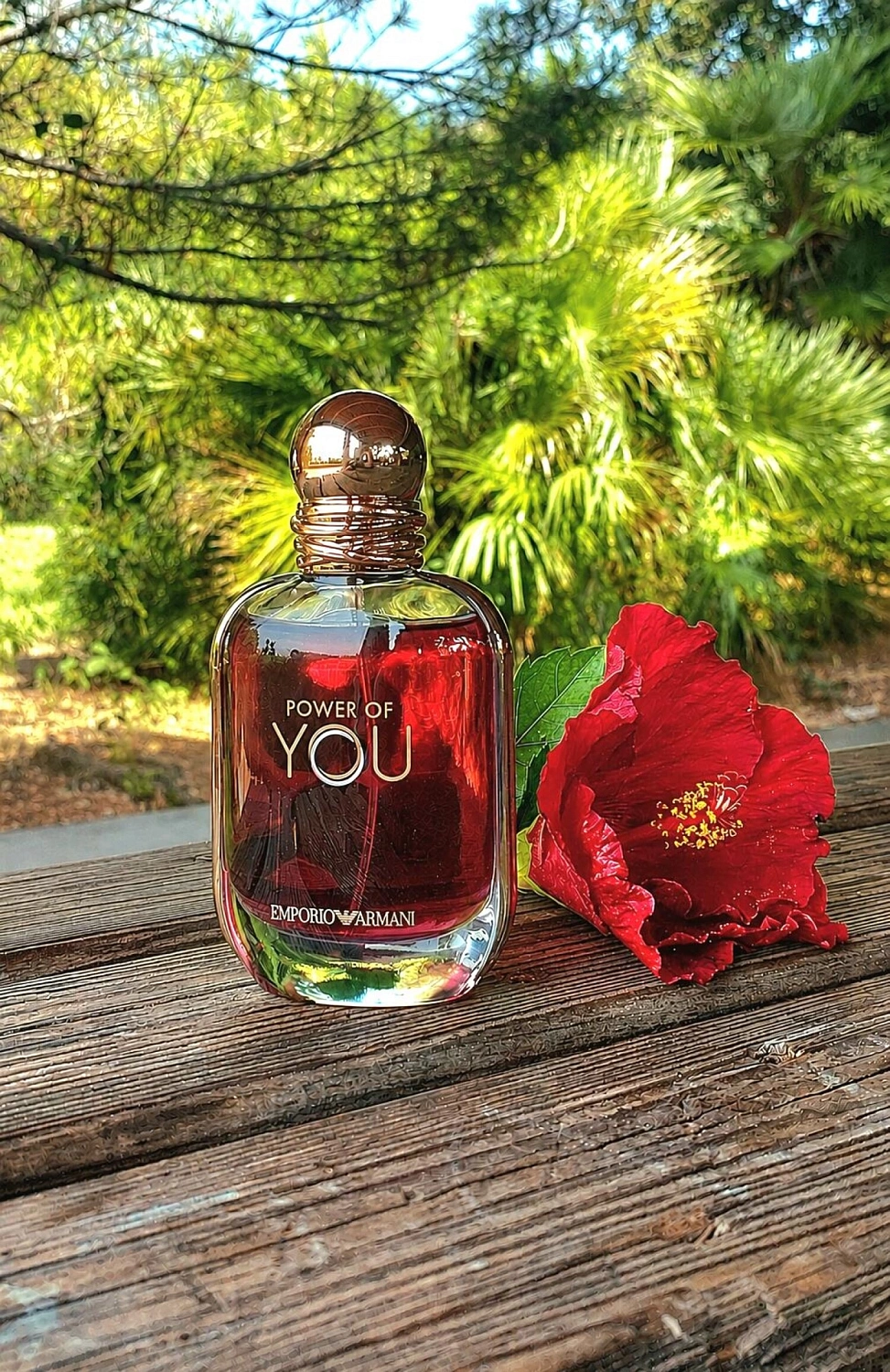 Armani Power Of You