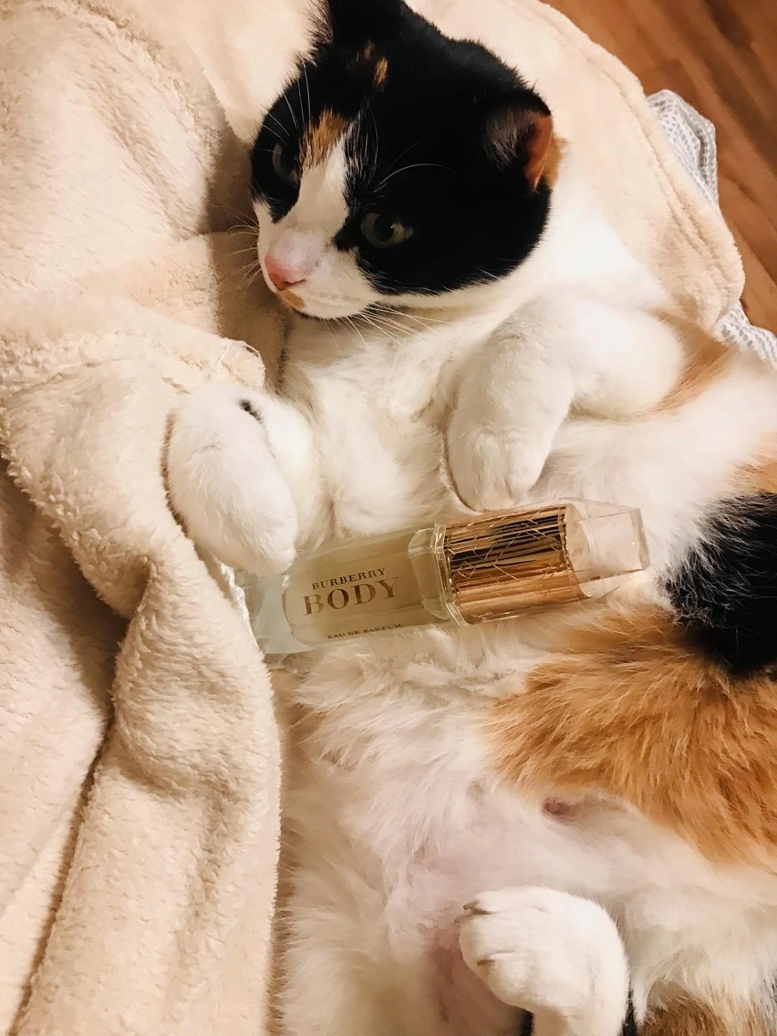 Burberry Body