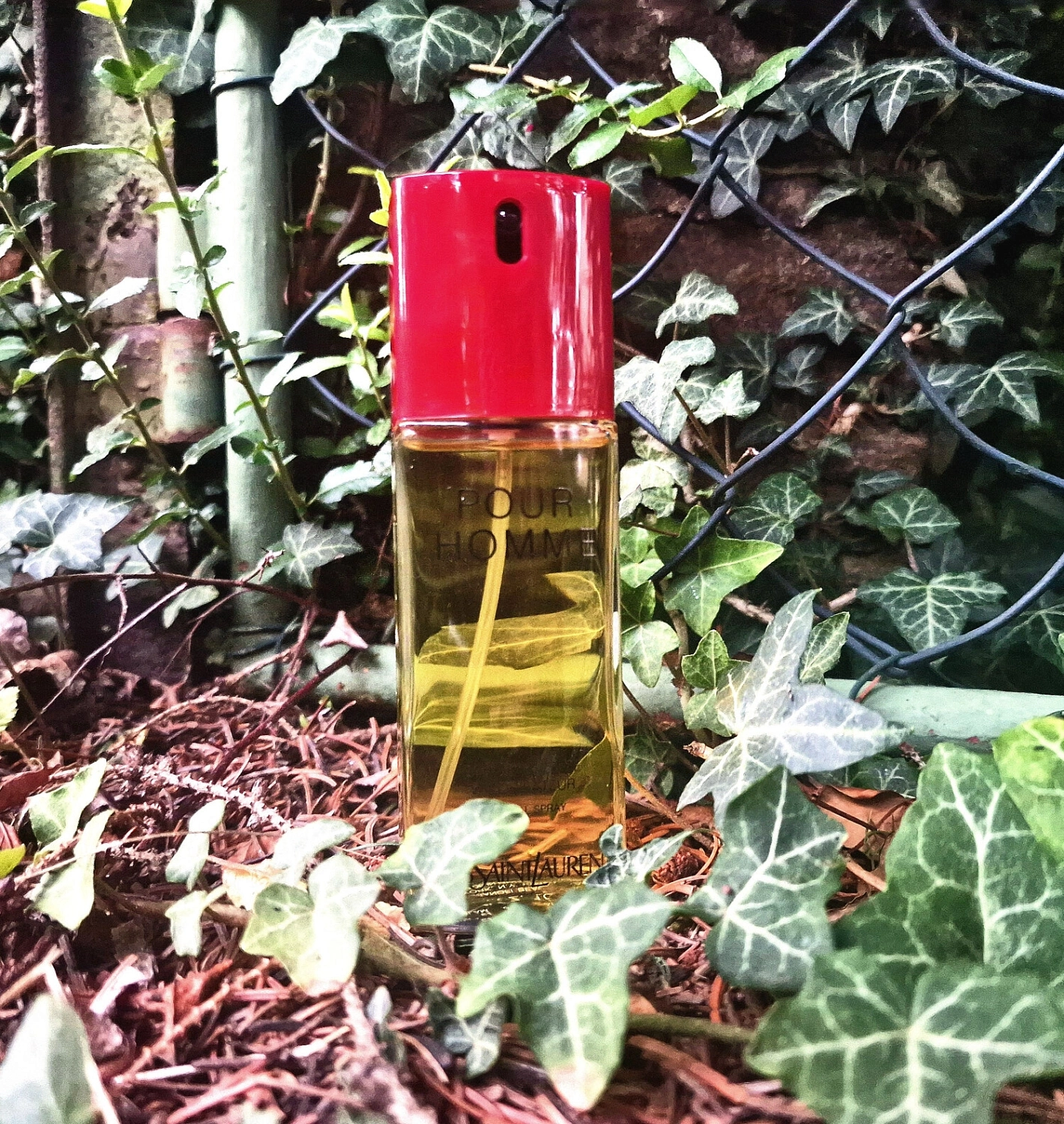 Yves Saint Laurent Parfum Pour Homme