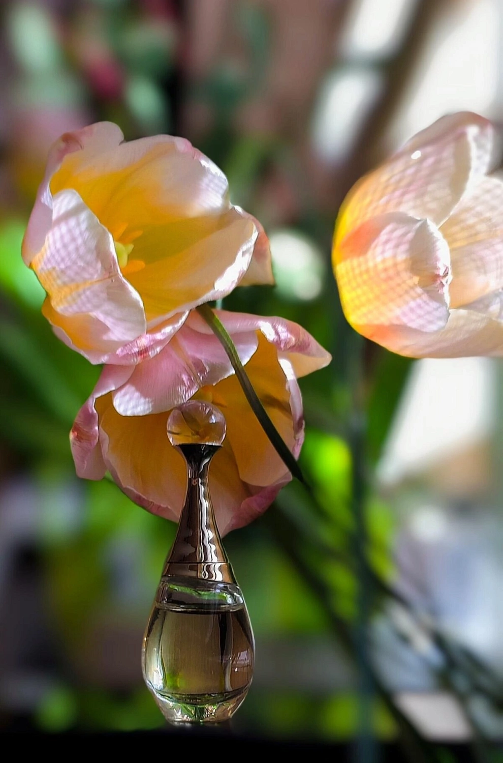 Christian Dior J'adore L'Or (2023)