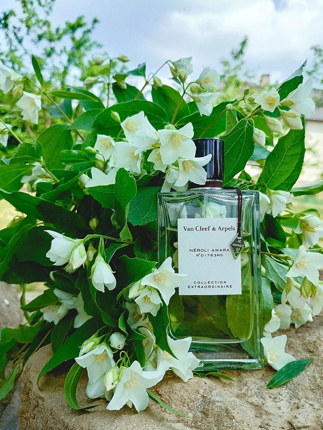 Van Cleef & Arpels Collection Extraordinaire Neroli Amara