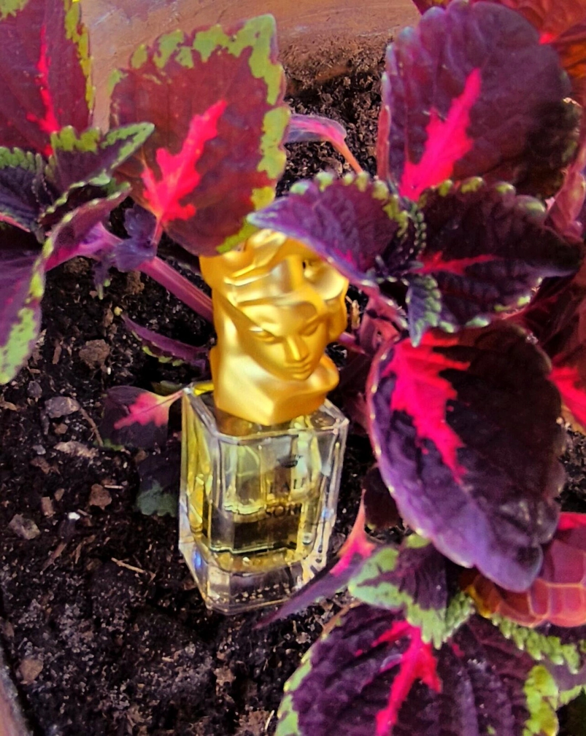 Sisley Eau du Soir