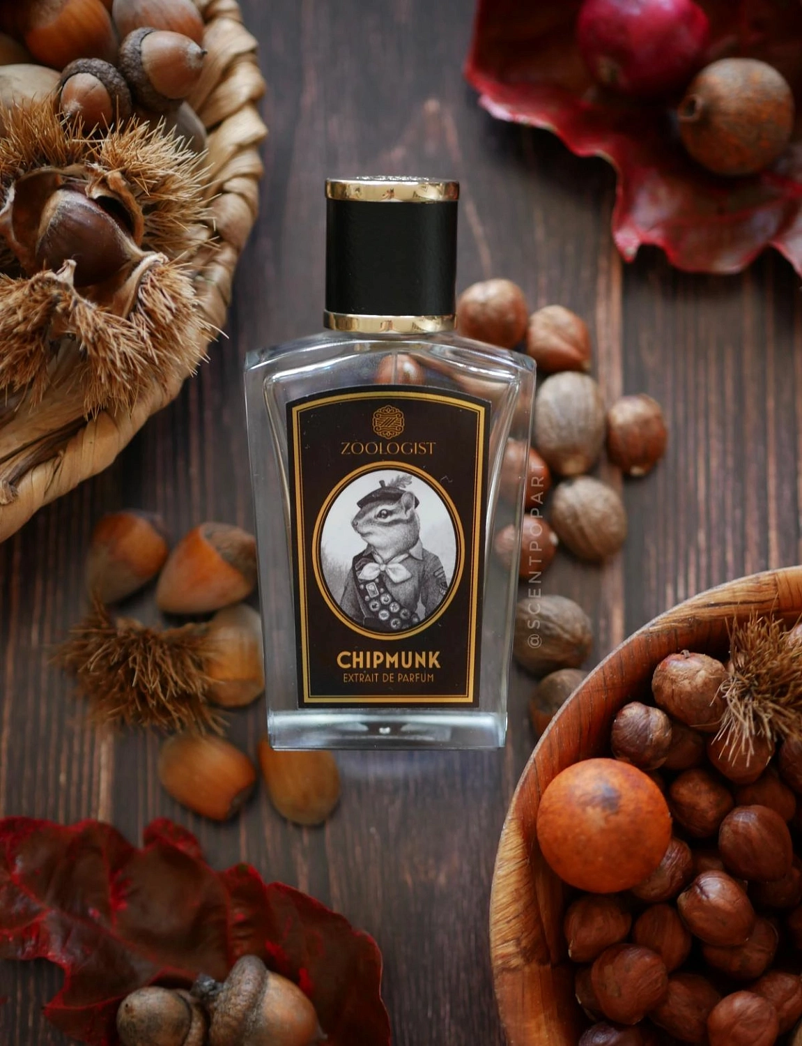 Zoologist Perfumes Chipmunk