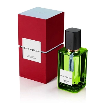 Фото Diana Vreeland Vivaciously Bold
