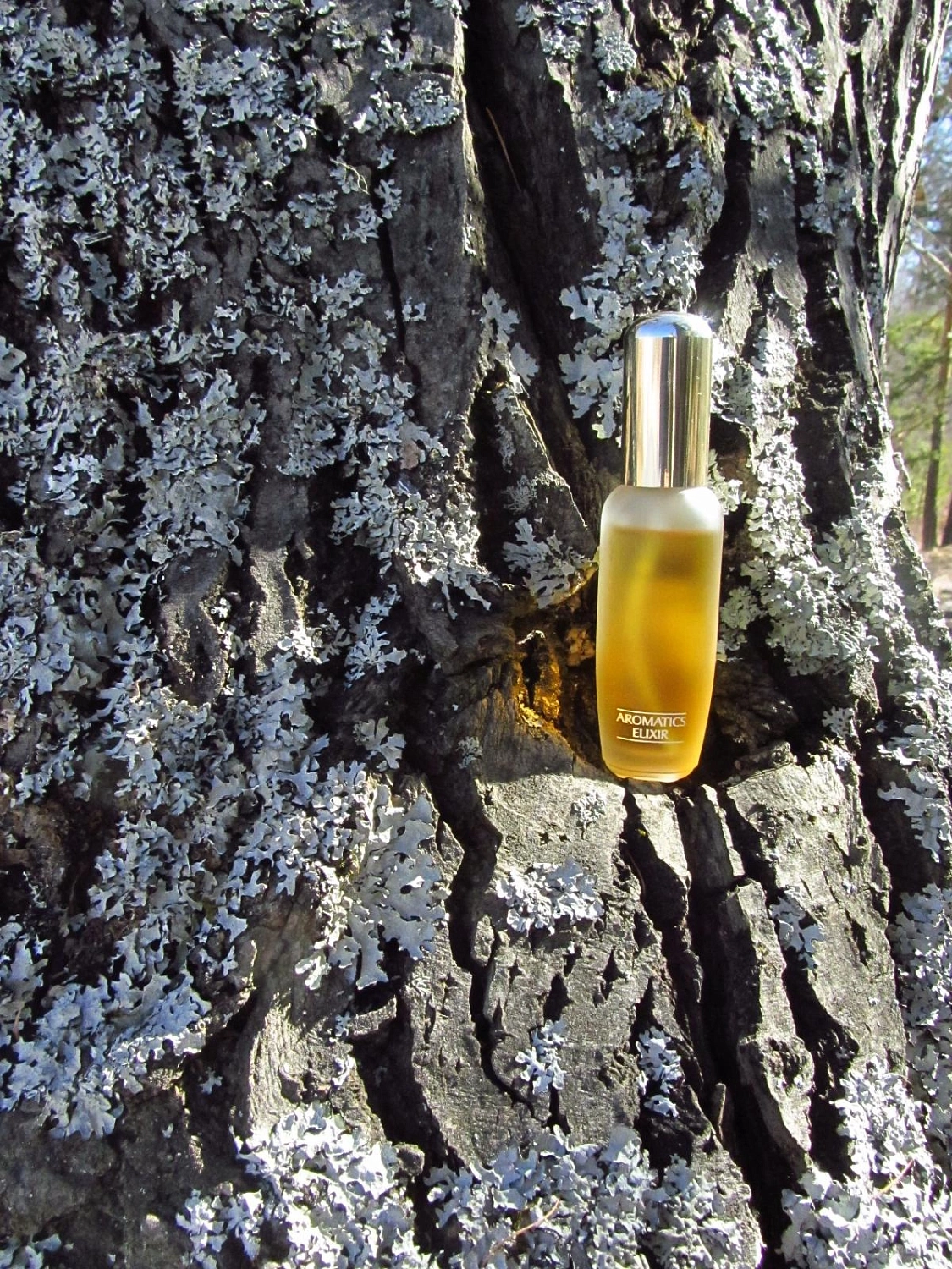 Clinique Aromatics Elixir