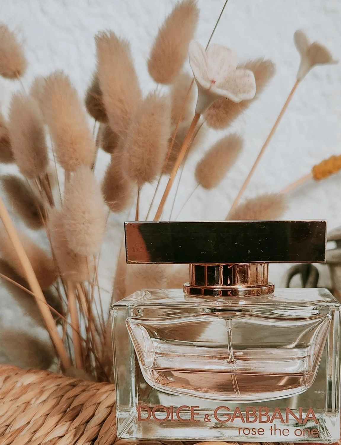 Dolce & Gabbana Rose The One