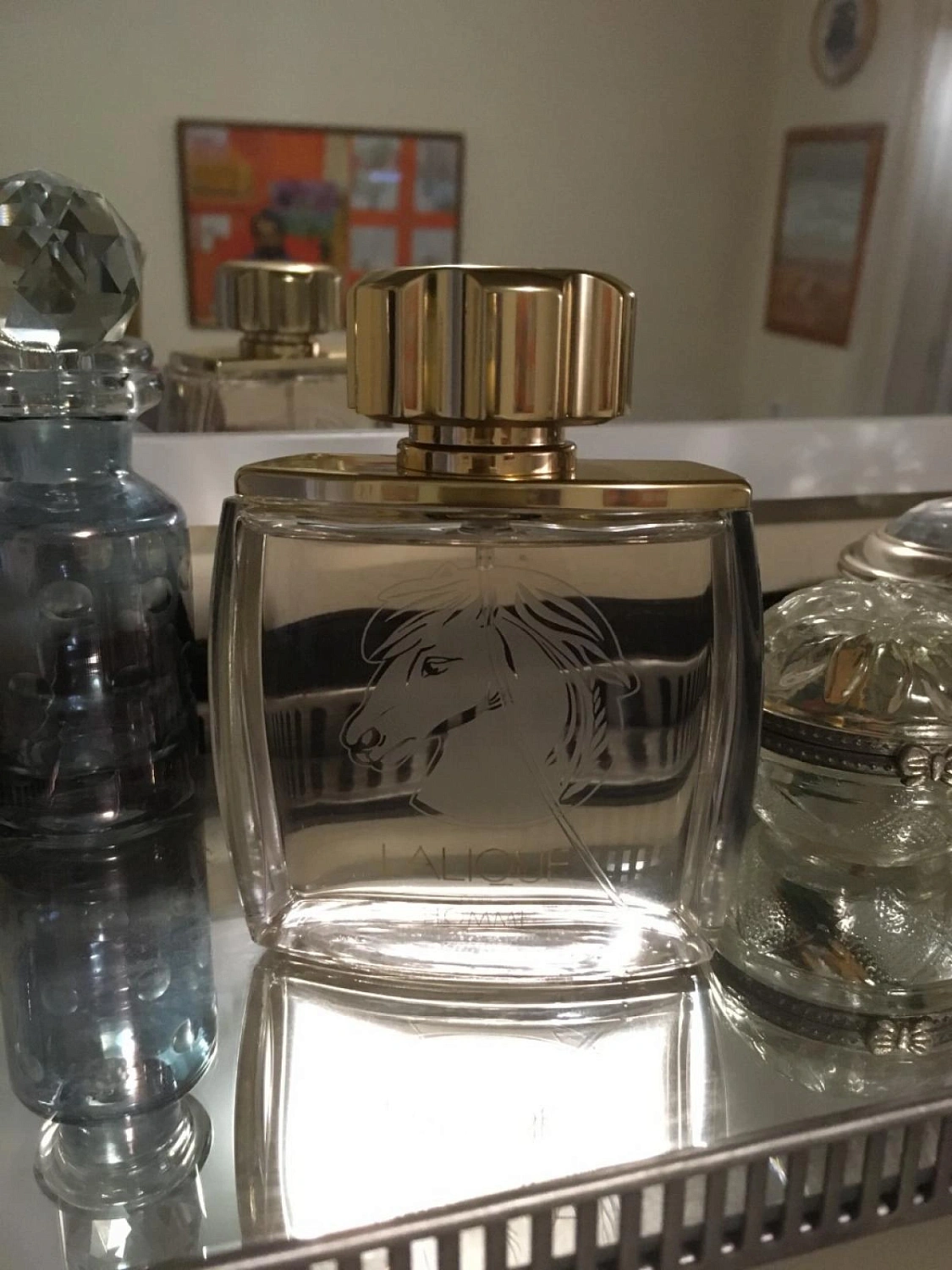 Lalique Pour Homme Equus