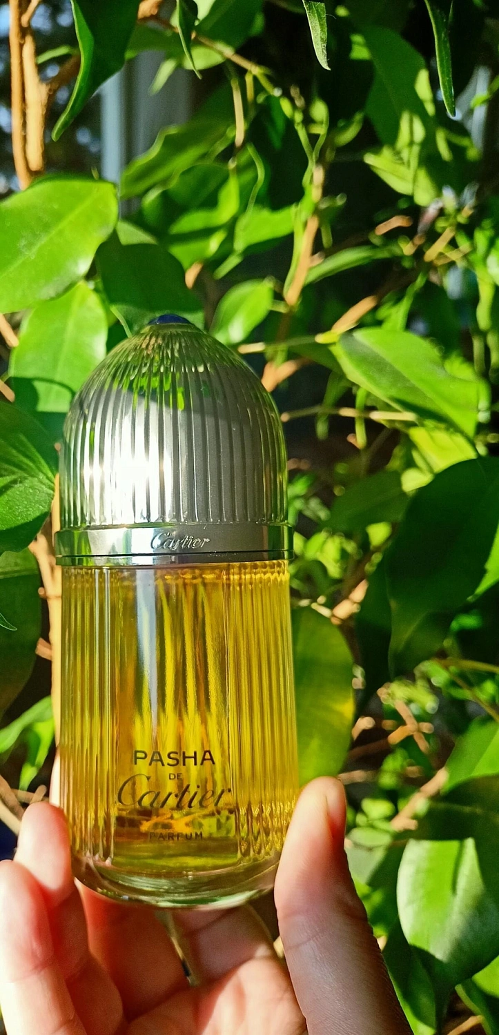 Pasha de Cartier Parfum