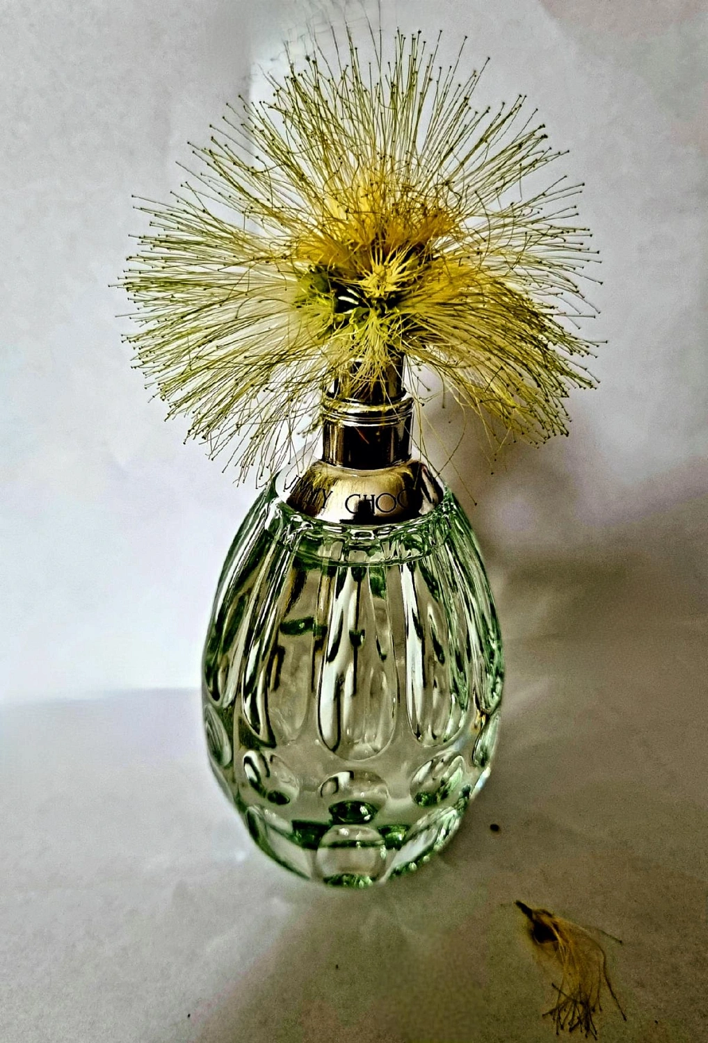 Jimmy Choo Floral