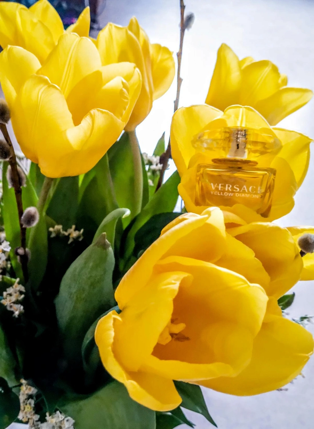 Versace Yellow Diamond