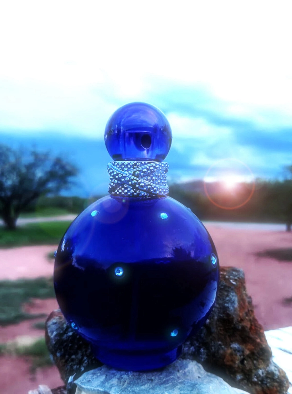 Britney Spears Midnight Fantasy