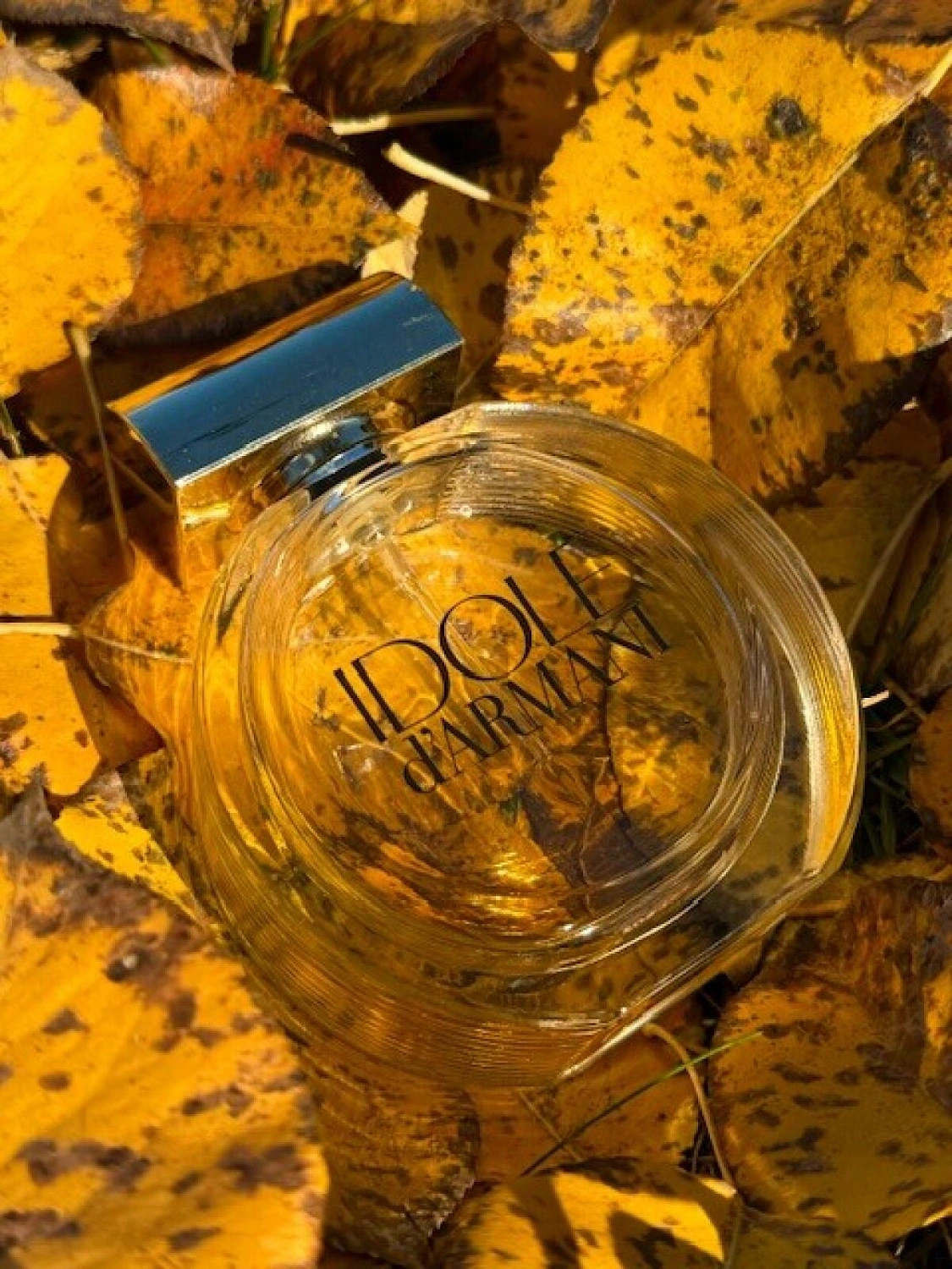 Idole d'Armani