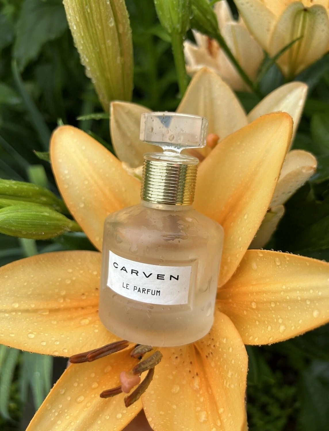 Carven Le Parfum