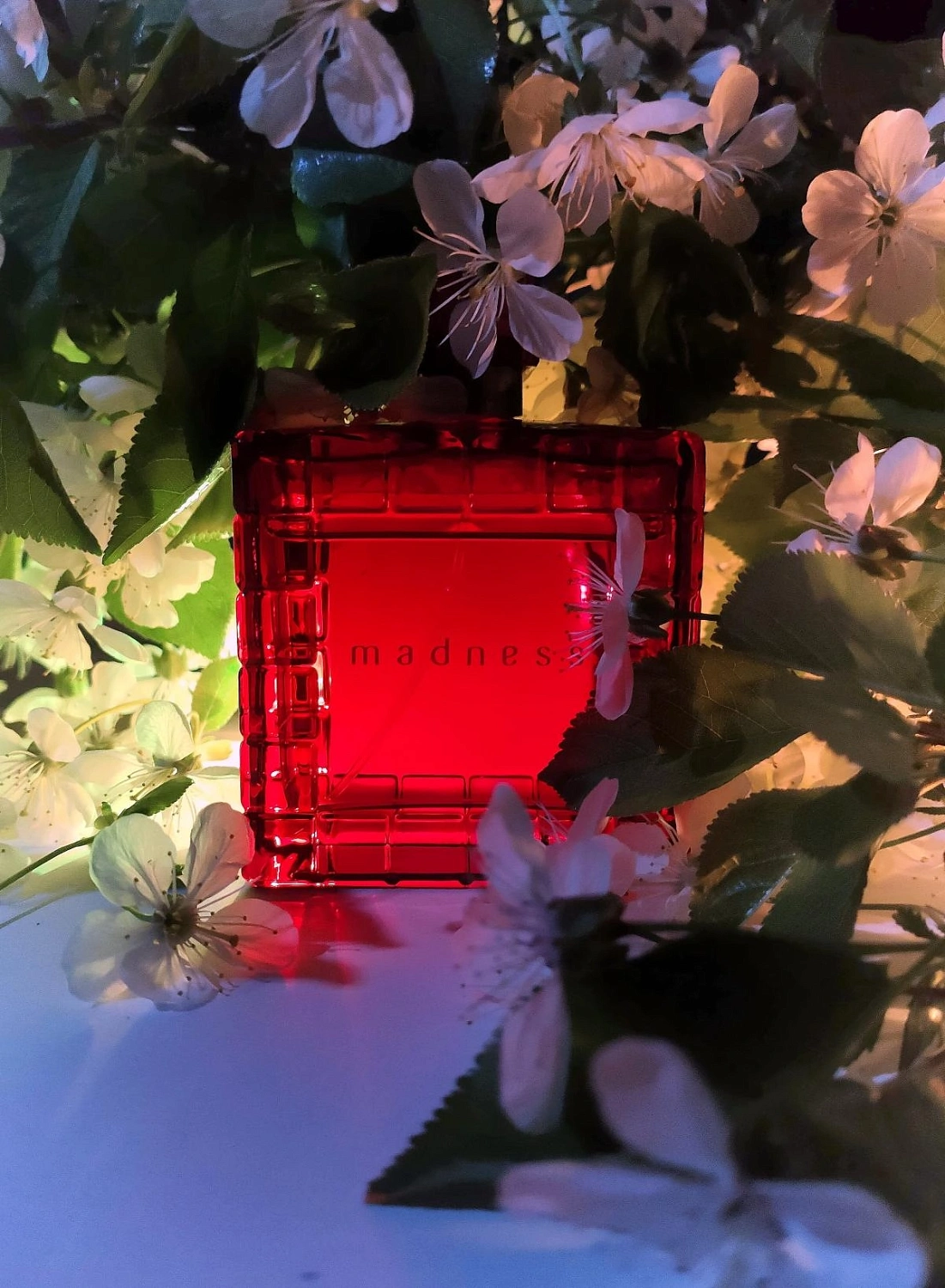 Chopard Madness