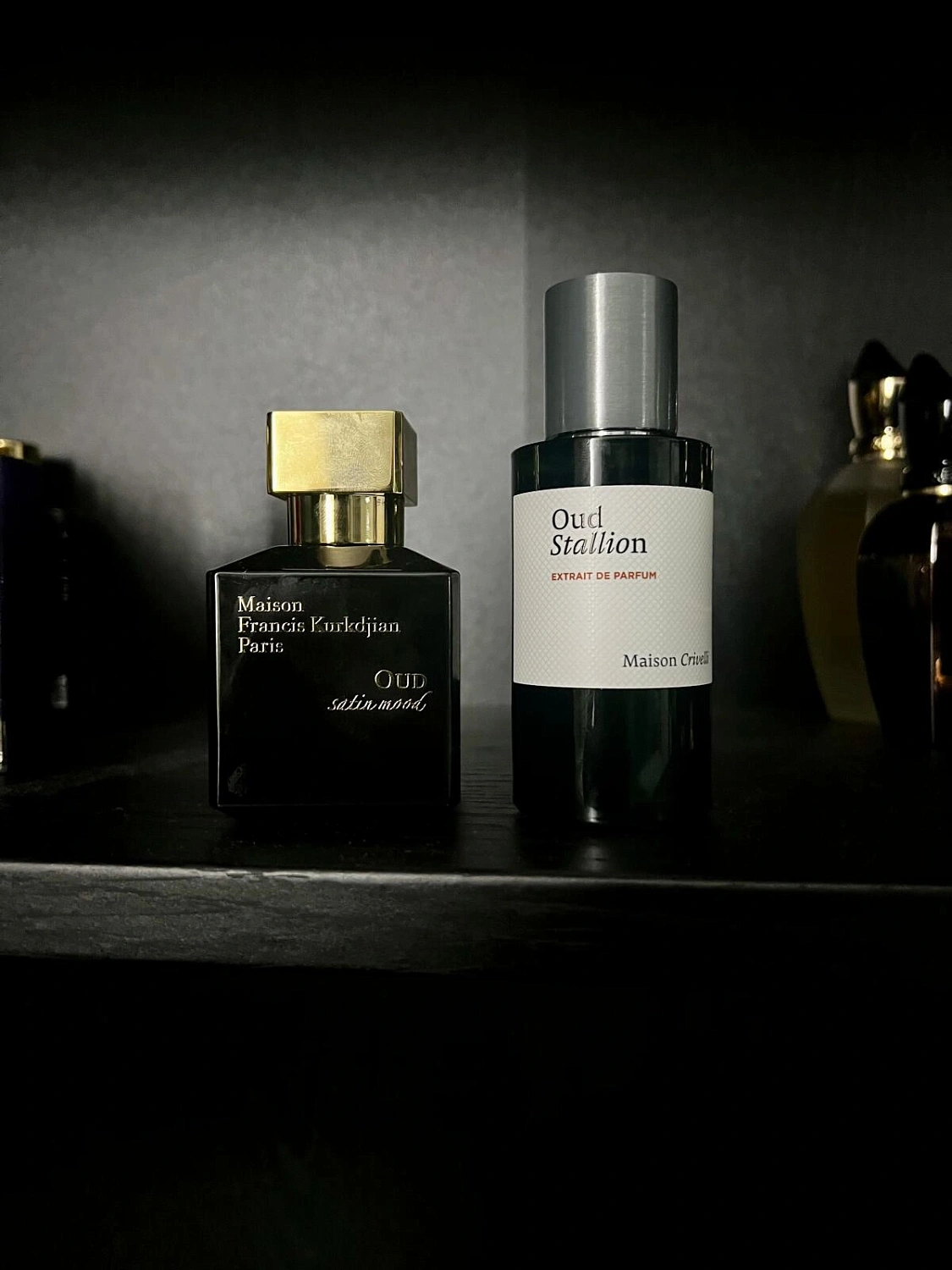 Maison Crivelli Oud Stallion