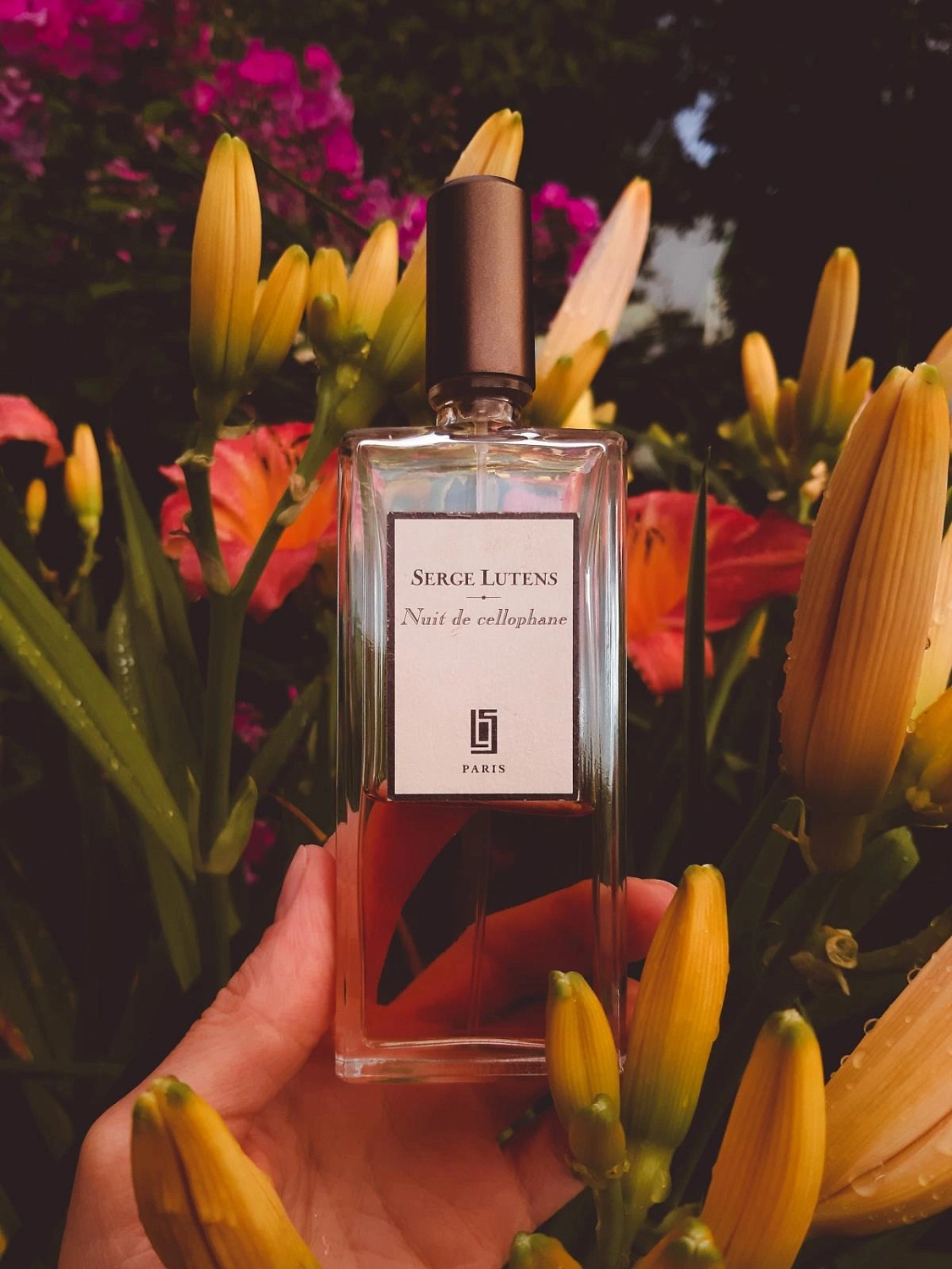 Serge Lutens Nuit de Cellophane