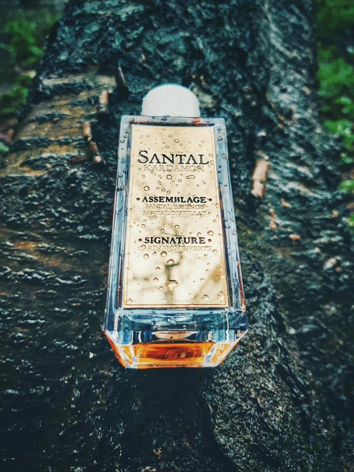 Lancôme Santal Kardamon