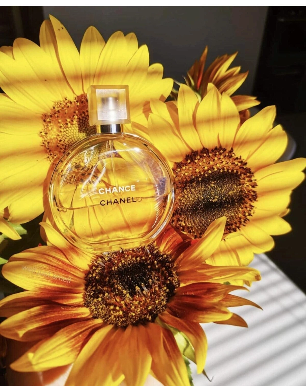 Chanel Chance Eau de Toilette