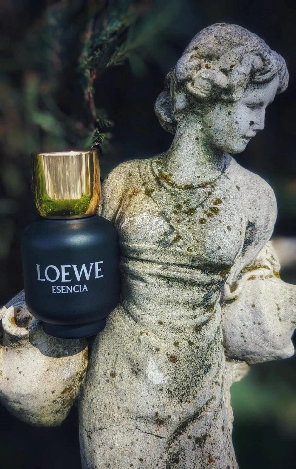 Loewe Esencia pour Homme