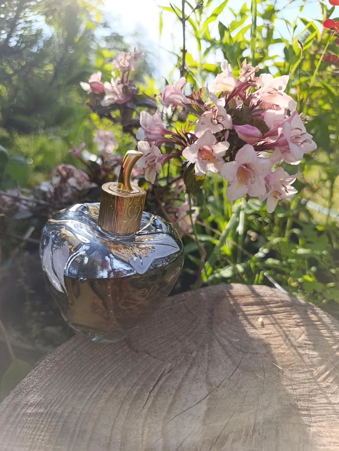 Lolita Lempicka