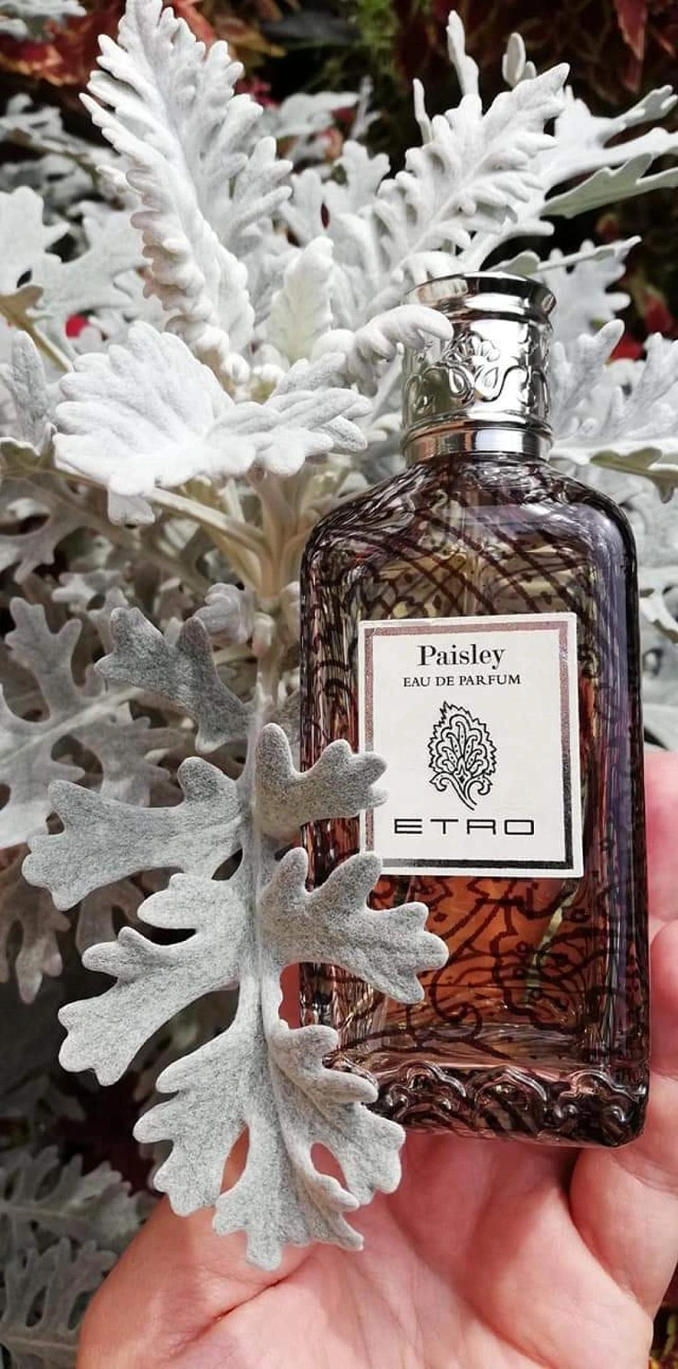 Etro Paisley
