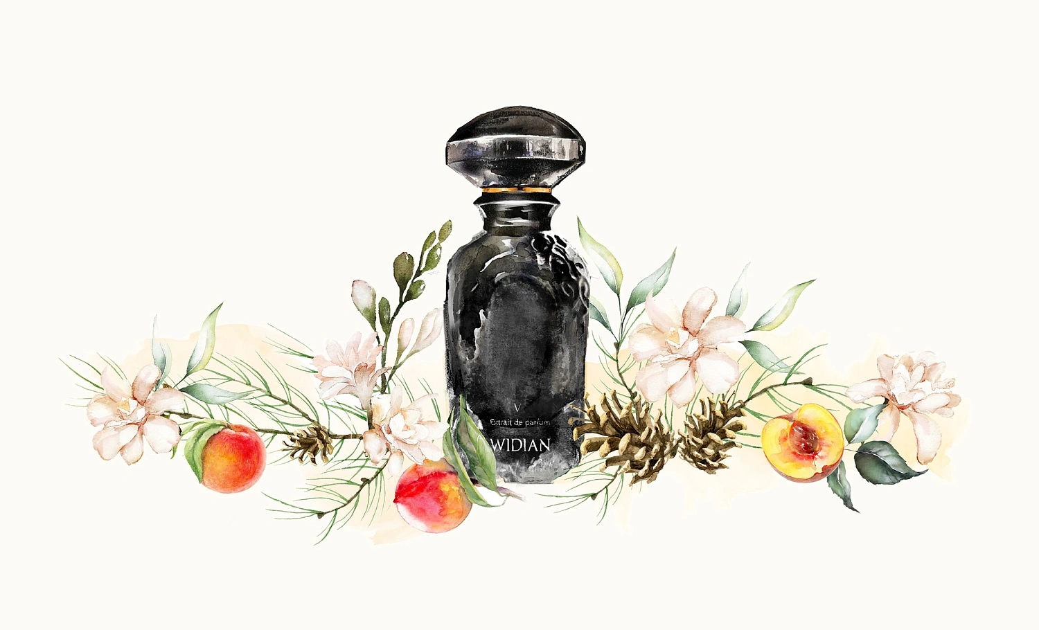 AJ Arabia Widian Black V