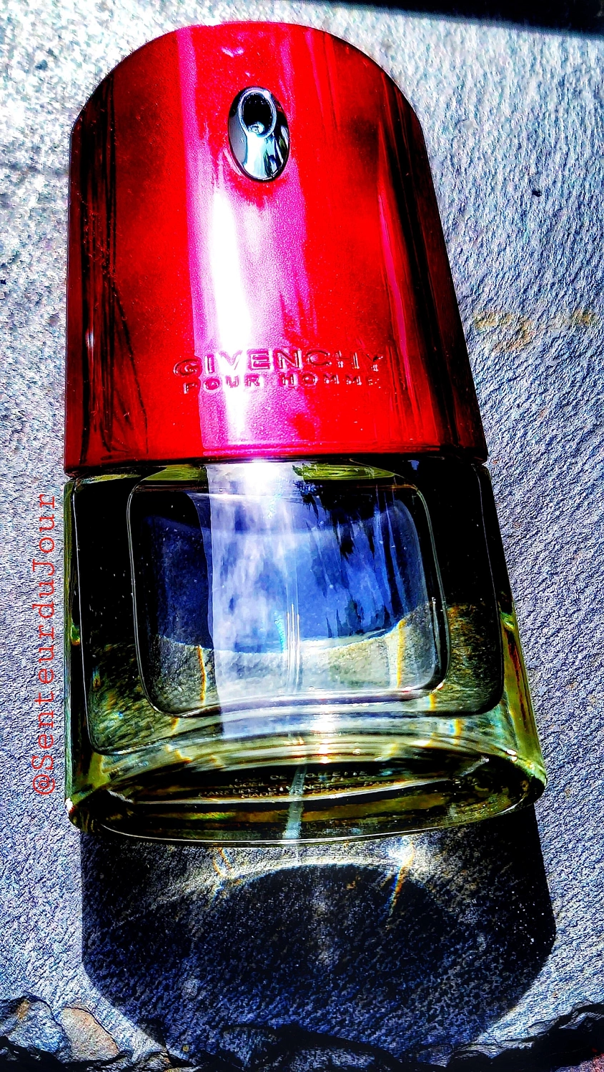 Givenchy Pour Homme