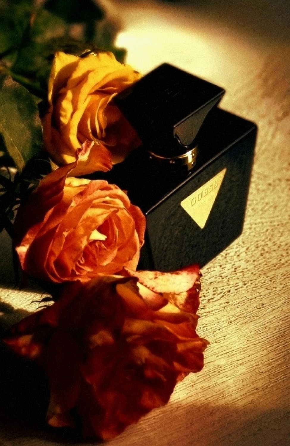 GUESS Seductive Noir
