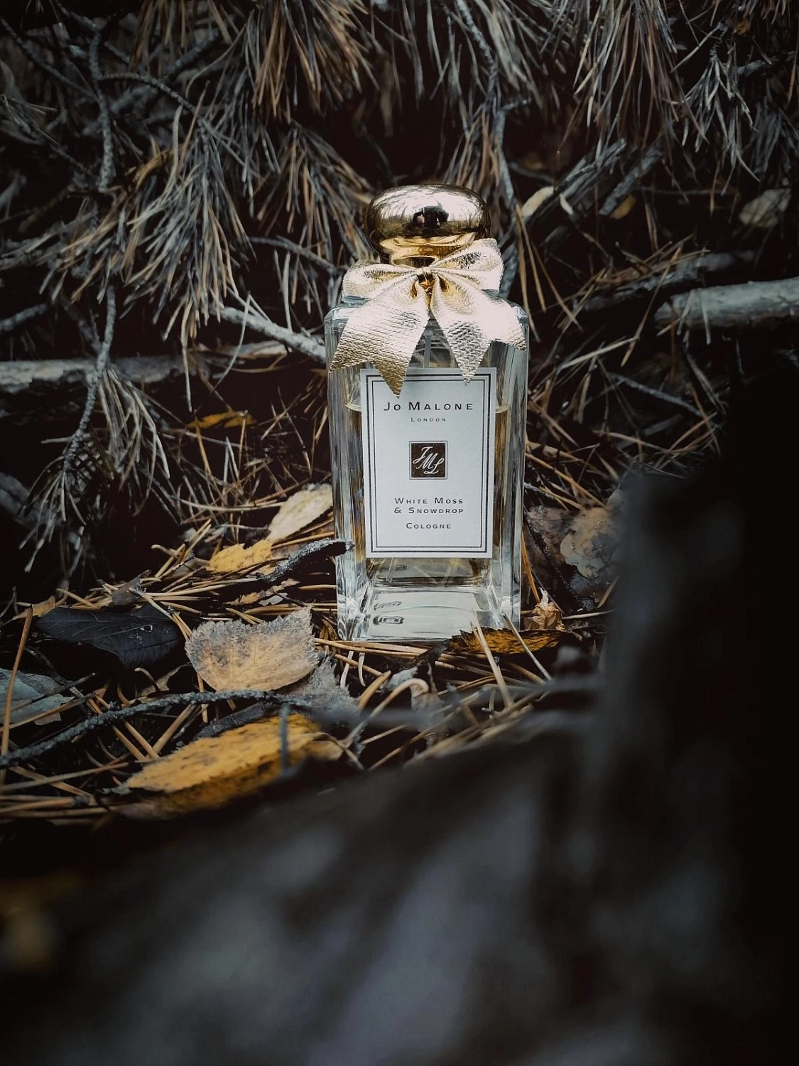 Jo Malone White Moss & Snowdrop