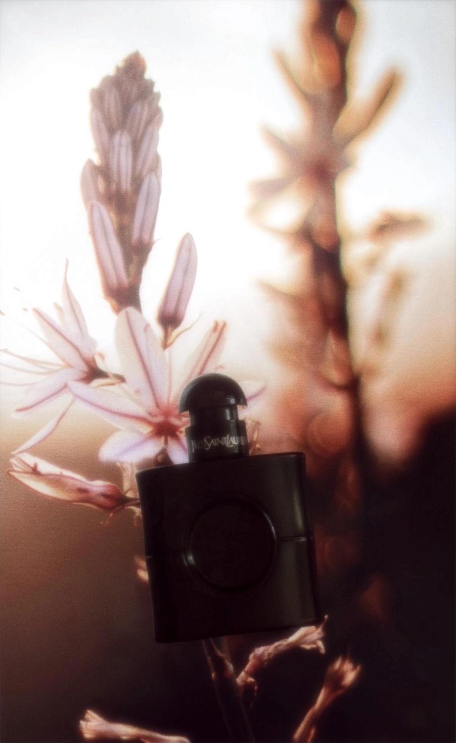 Yves Saint Laurent Black Opium Le Parfum