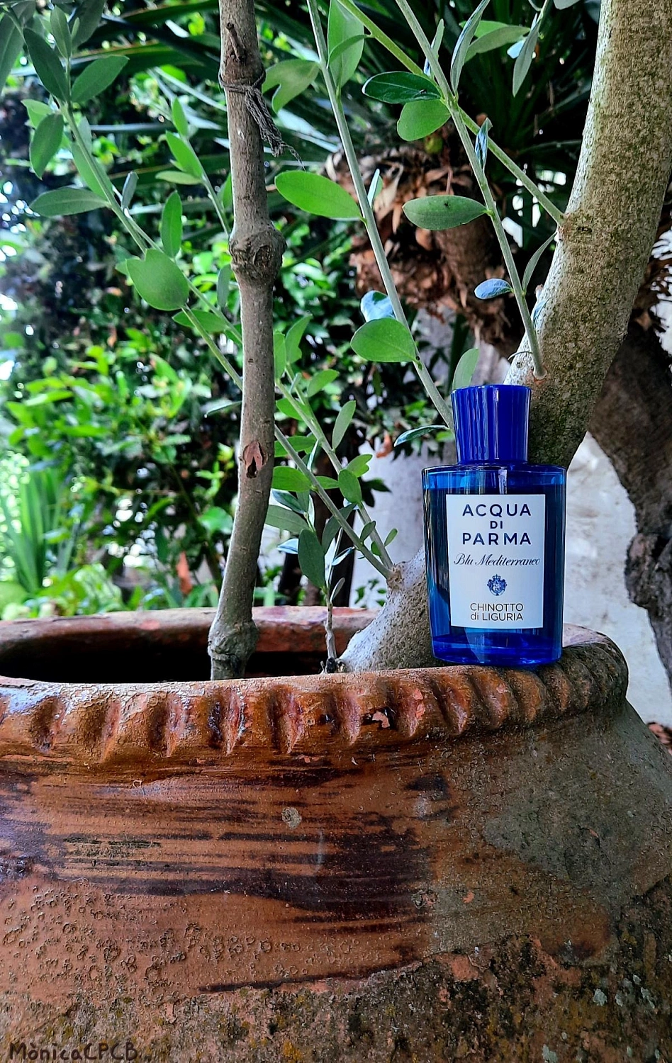 Acqua di Parma Chinotto di Liguria