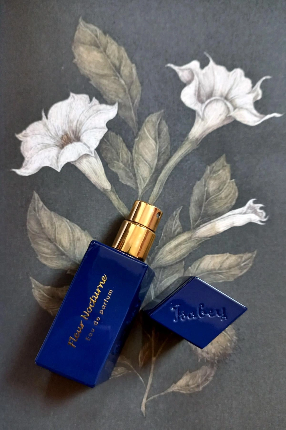 Panouge Isabey Fleur Nocturne
