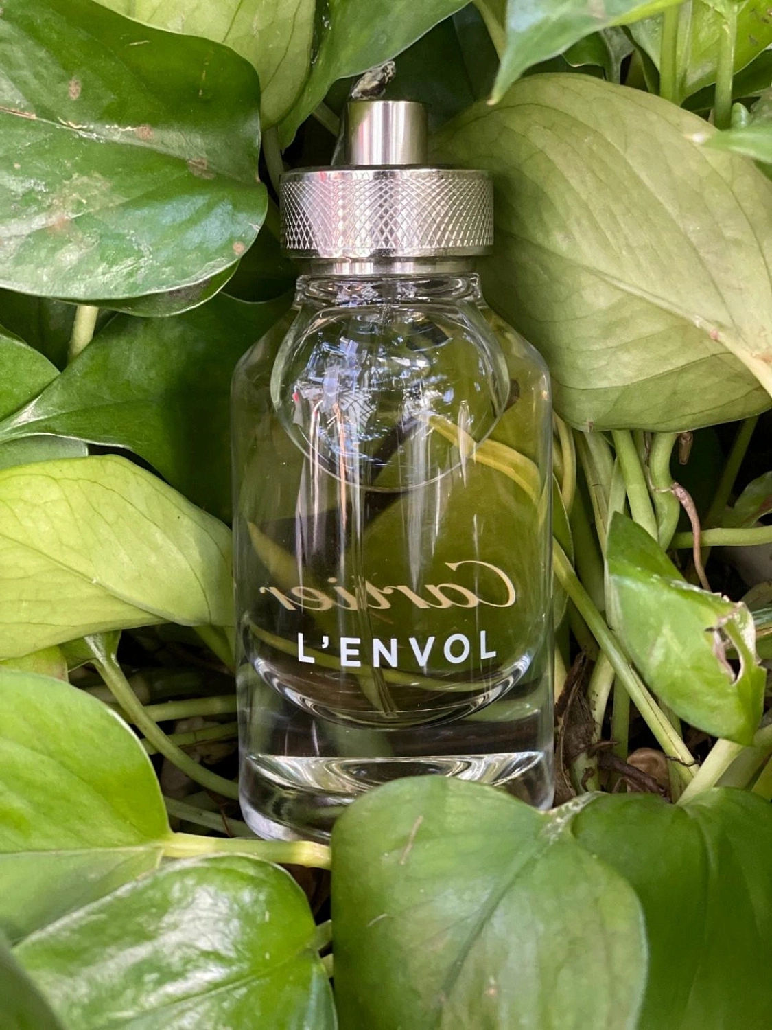 Cartier L'Envol Eau de Toilette