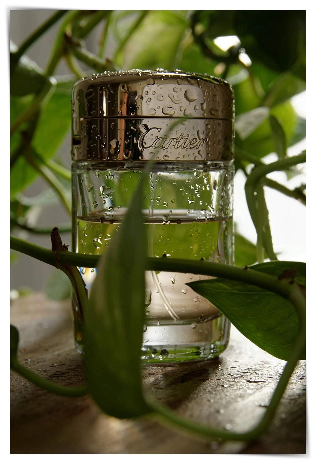 Cartier Baiser Vole