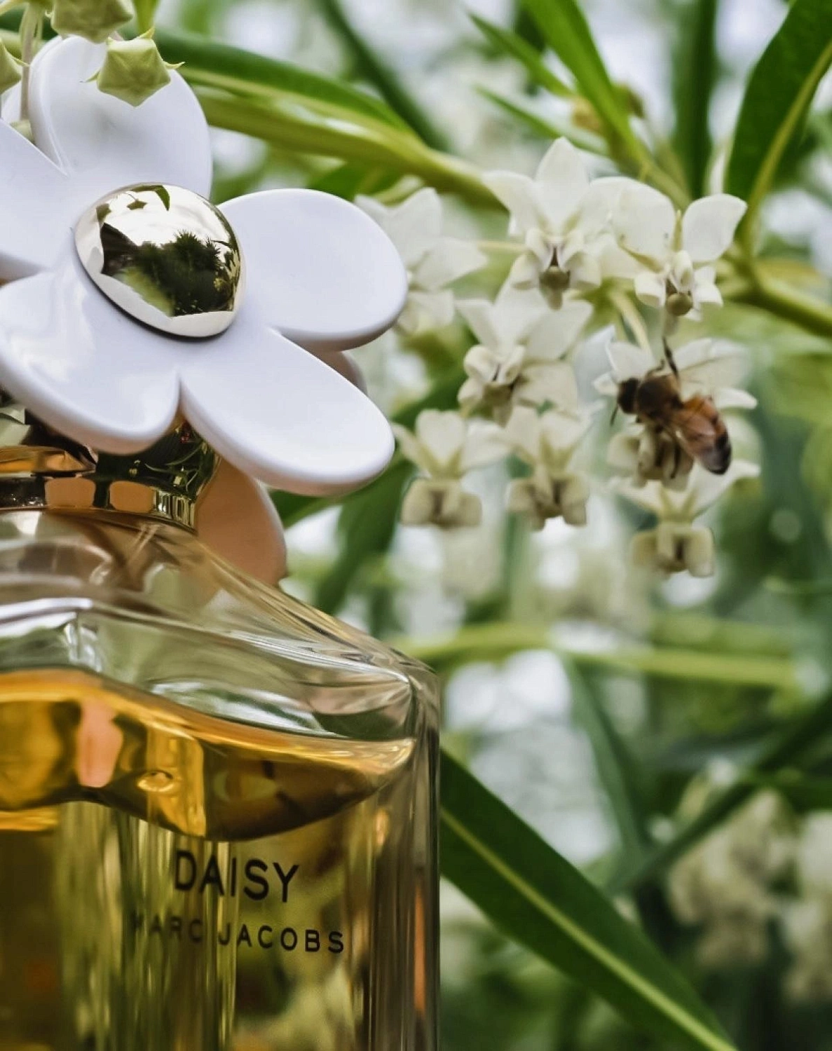 Marc Jacobs Daisy