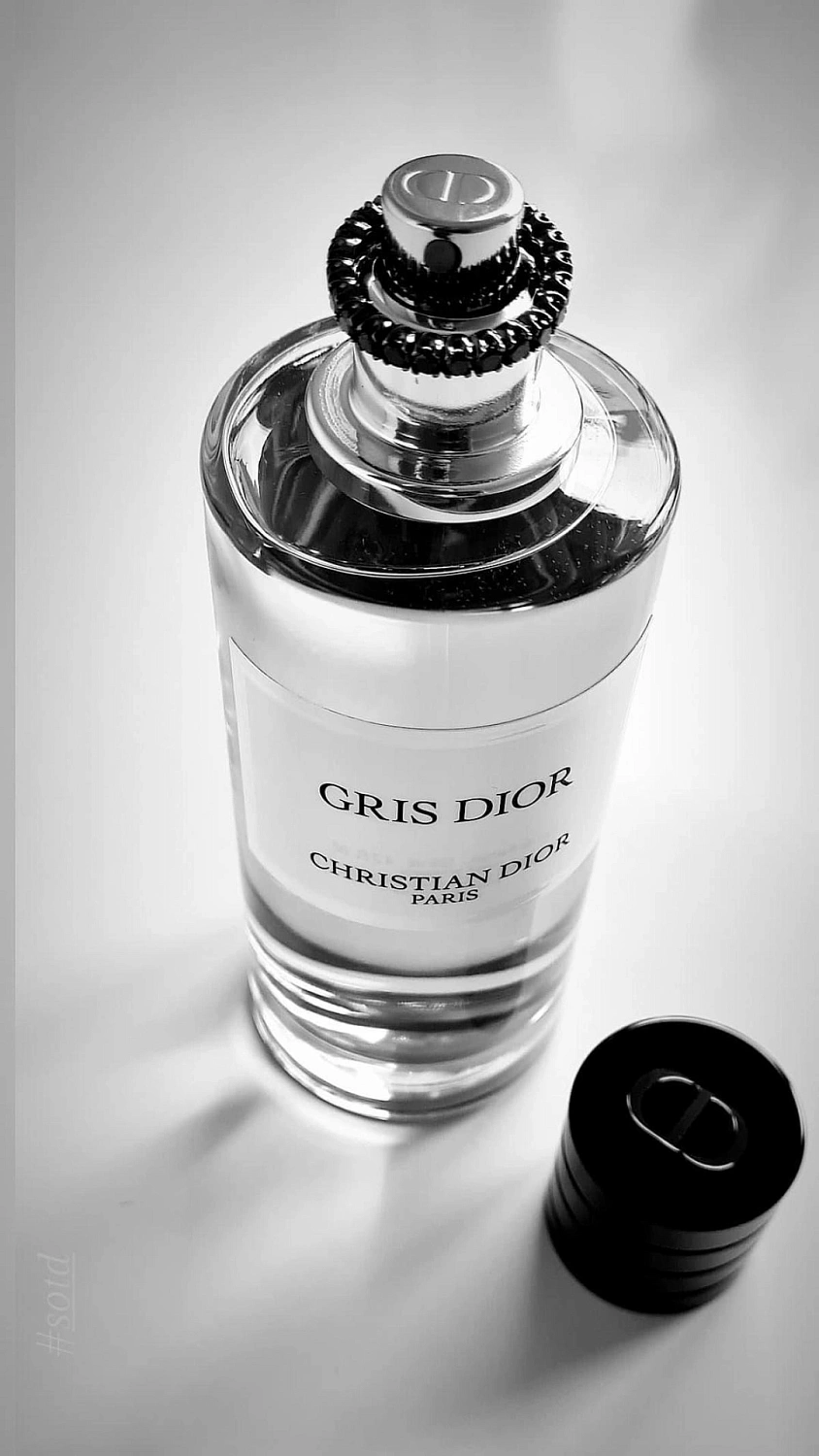 Christian Dior Gris Dior