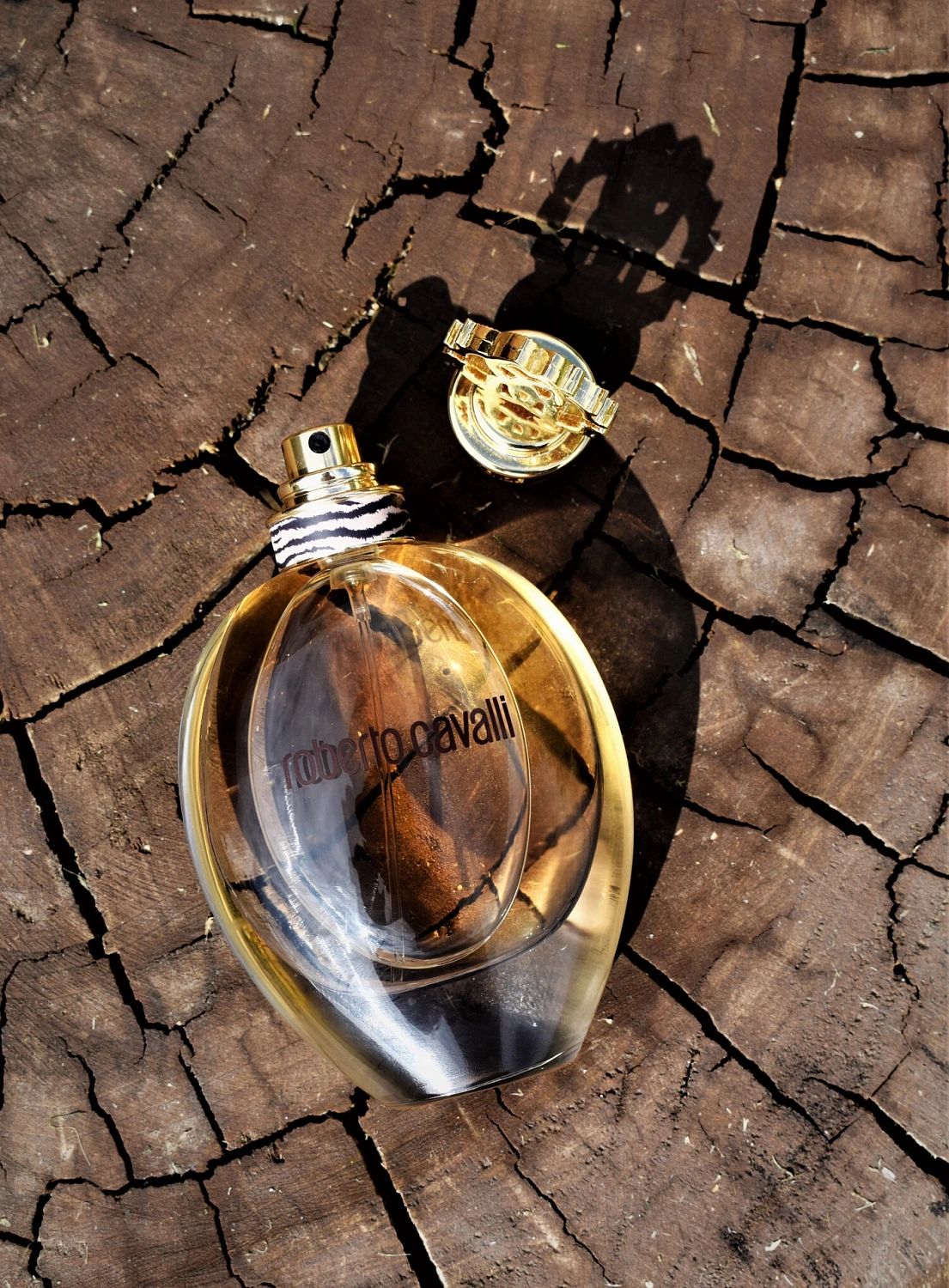 Roberto Cavalli Signature