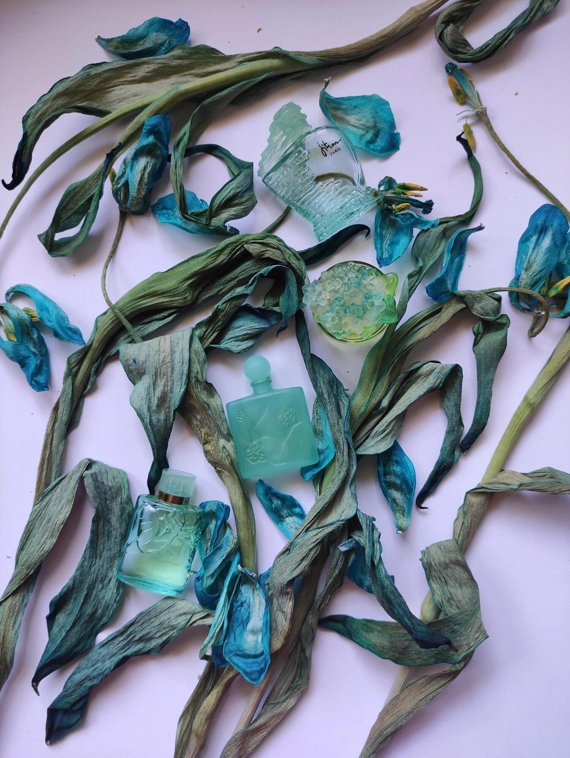 Jean Charles Brosseau Fleurs d'Ombre Ombre Bleue