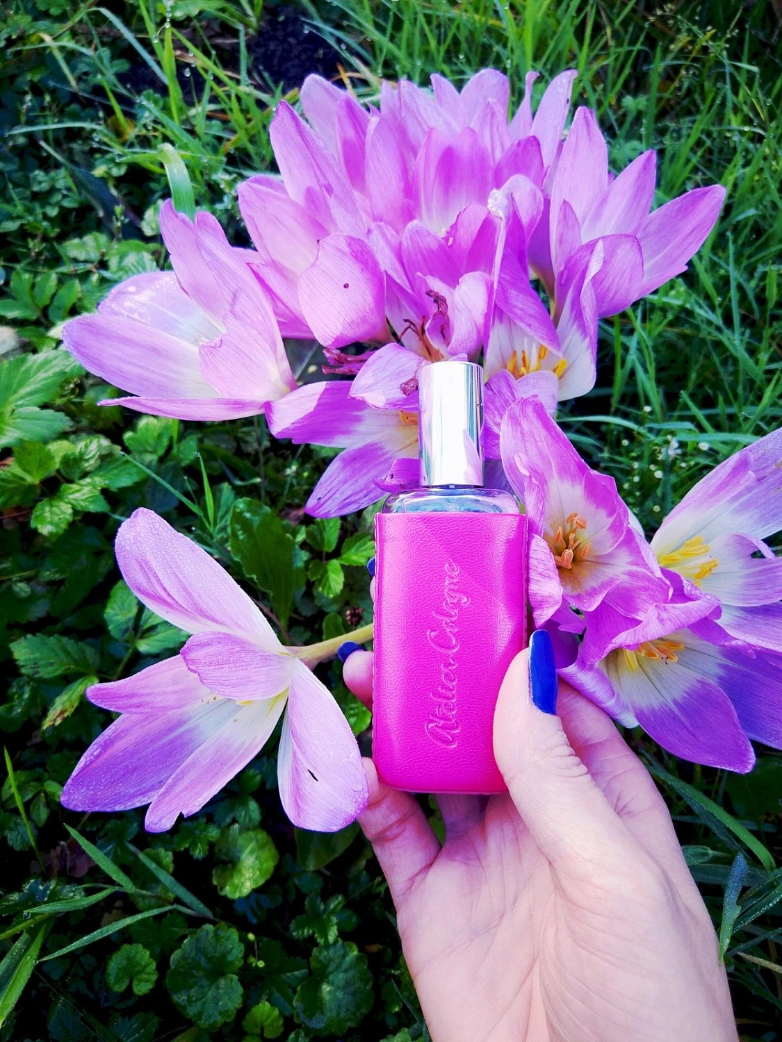Atelier Cologne Iris Rebelle
