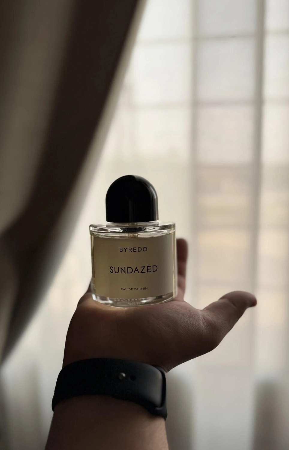 BYREDO Sundazed